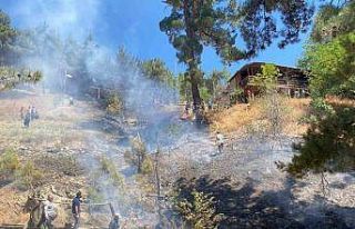 Adana’da orman yangını büyümeden söndürüldü