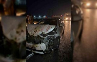 Adana’da otomobil koyun sürüsüne çarptı: 100...