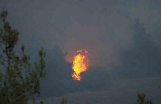 Adana’daki orman yangını devam ediyor