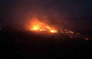 Adana’daki orman yangını dron ile görüntülendi