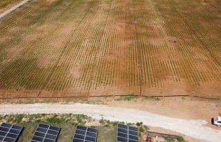 Adana’nın güneşini enerjiye dönüştürdü,...