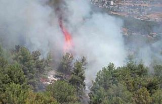Adıyaman’daki orman yangını havadan görüntülendi
