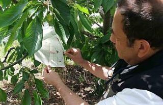 Afyonkarahisar’da ürün kontrolleri devam ediyor