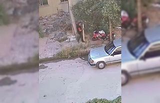 Ağaca bağlı motosikleti çalmaya çalışan acemi...