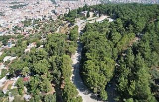 Ağlayan Kaya ve Mevlevihane arasında değişim başladı