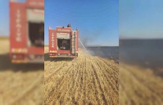 Ağrı’da 3 köyde çıkan yangınlar kontrol altına...