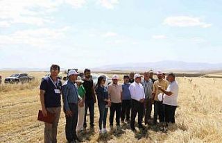 Ağrı’da biçerdöver denetimleri sürüyor