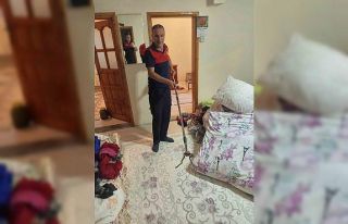 Ağrı’da evine yılan giren aile itfaiyeye sığındı
