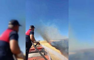 Ağrı’da onlarca dönüm ekili tarla küle döndü