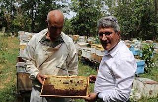 Ağrılı arıcılar tescilli "geven balı"...