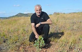 AK Parti Ayvalık İlçe Başkanı Ali Gür istifa...