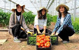 Akademik ürünlerin geliri öğrencilere burs oldu