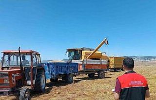 Akdağmadeni’nde biçerdöverler dane kaybına karşı...