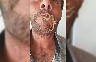 Akreplere kendini sokturdu, ‘Hayvan sevgisi’ dedi