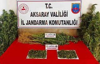 Aksaray jandarmadan uyuşturucu operasyonu: 2 gözaltı