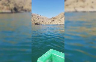 Alabalık üretim tesisinde çalışan kadın mühendis,...