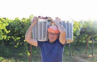 Alaşehir festivalle coşacak