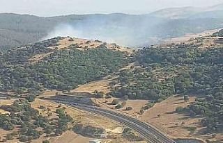 Aliağa’da makilik yangını kontrol altına alındı