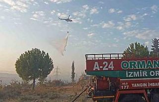 Aliağa’daki orman yangını kontrol altına alındı