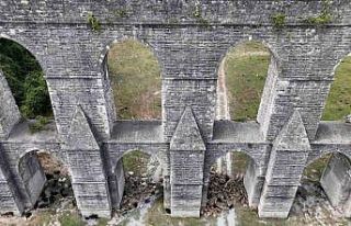 Alibey Barajında sıcaktan bunalan koyunlar gölgeye...