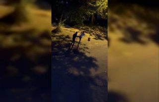Alkollü yabancı uyruklu gence sokak ortasında meydan...