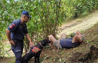 Alzheimer hastası kayıp şahıs fındık bahçesinde...