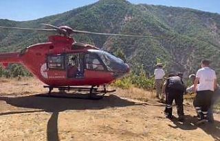 Ambulans helikopter mezradaki hastanın imdadına...