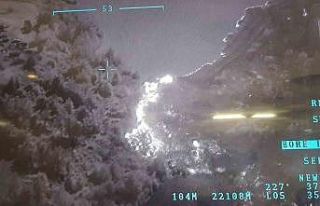 Anız yangını ağaçlık alana sıçradı