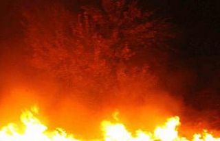 Anız yangını paniğine neden oldu