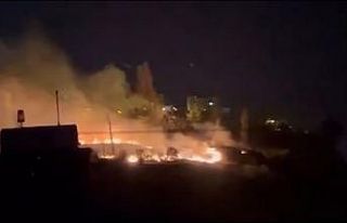 Ankara’da ağaçlık alan yandı