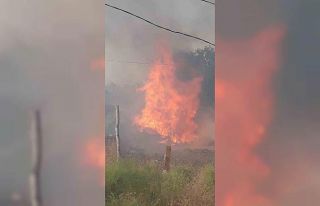 Ankara’da kırsal alanda korkutan yangın