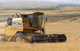 Antalya Büyükşehir Belediyesi kendi arazisinde...