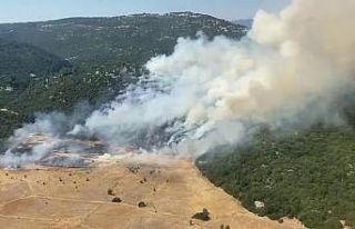 Antalya Kaş’ta orman yangını başladı