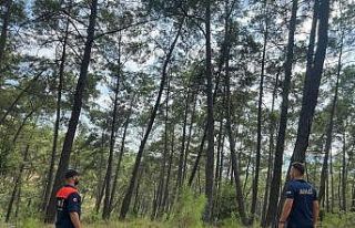 Antalya’da 3 gündür haber alınamayan Alman kadın...