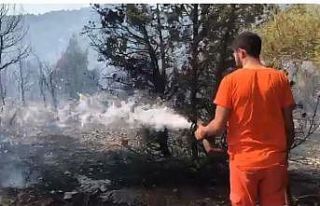 Antalya’da bozuk ormanlık alanda yangın