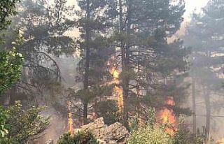 Antalya’da orman yangını devam ediyor