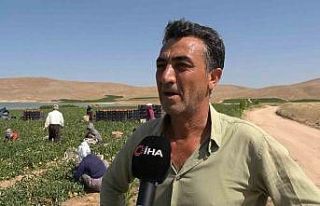 Aracılara isyan eden tarla sahibi halka seslendi,...