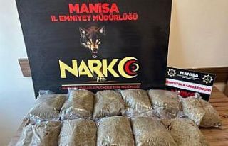 Araçta yapılan aramada 10 kilo 600 gram bonzai ele...