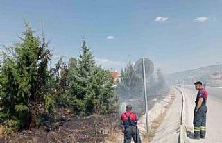 Araçtan atılan sigara izmariti yangına sebep oldu