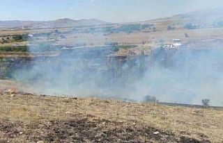 Arazi yangınında arılar telef oldu