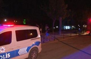 Arazide başlayan yangın evlere sıçramadan söndürüldü