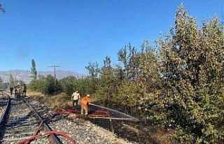 Arazide çıkan yangın büyümeden söndürüldü