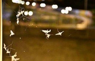 Ardahan’da ’bir günlükler’in ’ölüm uçuşu’...