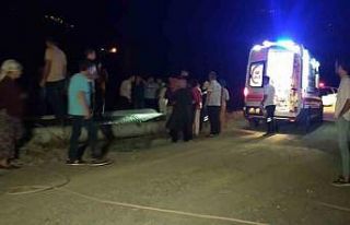 Artvin’de Çoruh Nehri’ne düşen araçtan sağ...