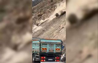 Artvin’de heyelan anı kamerada