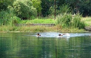Aşırı sıcaklarda boğulmalara dikkat