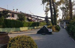 Asırlık çınar ağacı villanın üzerine devrildi,...