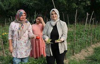 Ata tohum ile yerel çeşitler korunuyor