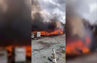 Avcılar’da serada çıkan yangın paniğe neden...