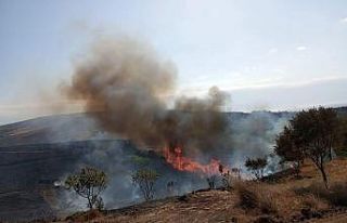 Avşa Adasında 2 günde 2 yangın çıktı